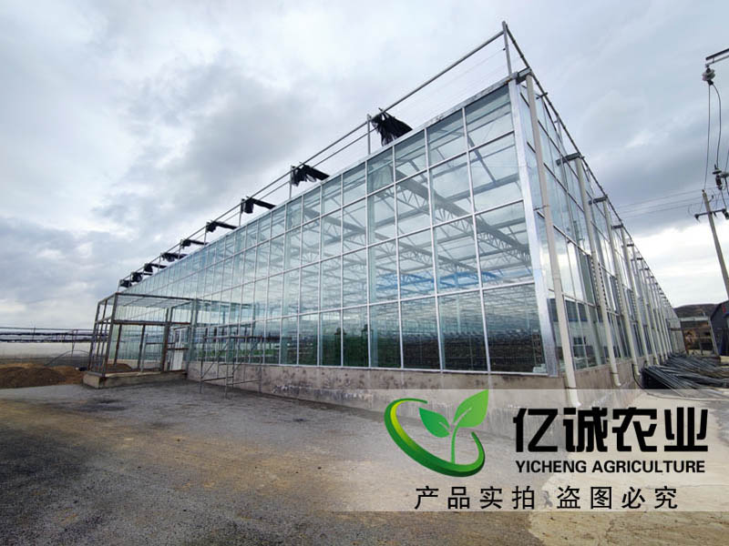 溫室大棚建設廠家